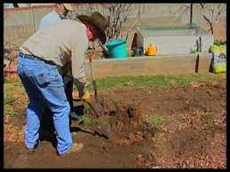 Some of the perennials like to flower early in the season so they can be pollinated by early flying bees. How To Prepare Garden Soil For Planting Youtube