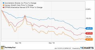 why constellation brands stock fell 30 in 2018 the motley