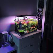 Plant Office Adli Kullanicinin Aquarium Panosundaki Pin