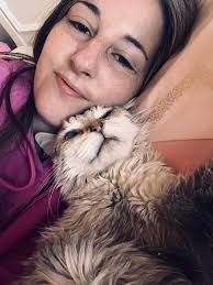 How to administer Vetmedin to a cat with difficulty taking pills?