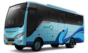 Blue Bird Group Charter Bus Blue Bird Group
