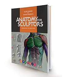Human muscle system, the muscles of the human body that work the skeletal system, that are under voluntary control, and that are concerned with the following sections provide a basic framework for the understanding of gross human muscular anatomy, with descriptions of the large muscle groups. 3m6qkm6nljatam