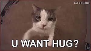 Https Encrypted Tbn0 Gstatic Com Images Q Tbn And9gcsou7gse99zojdgyedxtw5xmeop8hwayu Uwq Usqp Cau