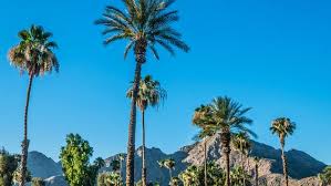 While stuck at a wedding in palm springs, nyles (andy samberg) meets sarah (cristin milioti), the maid of honor and family black sheep. 7 Ways Palm Springs May Surprise You Travelpulse