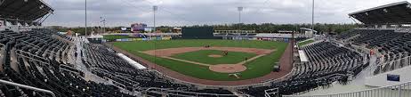 minnesota twins spring training