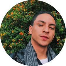 Can anyone help me to identify Codium species?