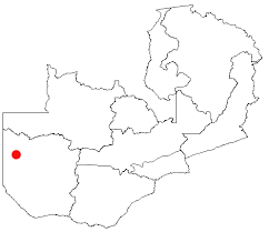 Image result for Baissea wulfhorstii