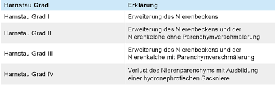 Pyelonephritis, nierenvenenthrombose und akuter harnaufstau. Bayerisches Arzteblatt