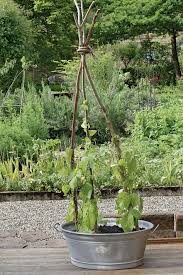 Diy Fur Den Garten Aus Gittern Ruten Und Gartengeraten Entstehen Stutzen Fur Pflanzen Die Hoch Hinauswollen Ob Kl Rankhilfe Selber Bauen Rankhilfe Pflanzen
