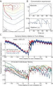 Estimating the distance of a target object from a single image is a challenging task since a large variation in the to evaluate the performance of the distance estimation without the influence of bb detector, we introduce table 4 process time in person detection and its distance measurement. Continuous Lateral Oscillations As A Core Mechanism For Taxis In Drosophila Larvae Elife