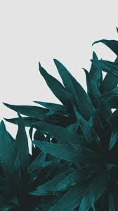 Decoratorsbest.com has been visited by 10k+ users in the past month Download Wallpaper Green Tumblr Hd Cikimm Com
