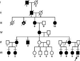 pedigree chart poster