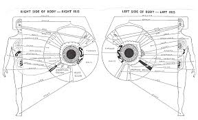 Sclerology Chart Sclerology Eye Chart Iridology Chart