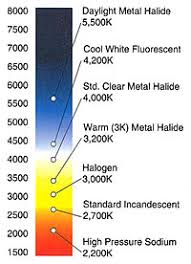 Full Spectrum Led Grow Light
