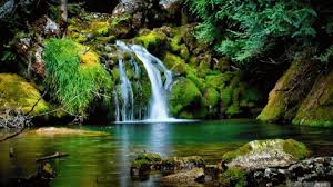 Free hd gif wallpapers for desktop. Gif Wallpaper Hd Download Nature Nice