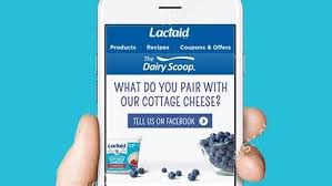 Lactose Free Cheesy Chicken Crescent Rolls Recipe Recipe Lactose Free Dairy Keylime Pie Recipe