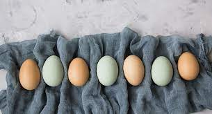 Most backyard chicken hobbyists don't start a new flock with plans for financial gain. How To Sell Backyard Chicken Eggs The Happy Chicken Coop