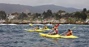 Find unique places to stay with local hosts in 191 countries. Maitencillo Chile Travel
