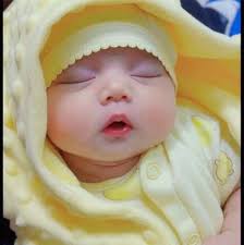 I'm a lumberjack and I'm OK