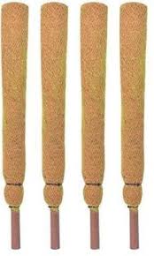 Maybe you would like to learn more about one of these? Trustbasket 2 Feet Coir Moss Stick Coco Pole For Climbing Indoor Plants Set Of 4 Plant Straightener Price In India Buy Trustbasket 2 Feet Coir Moss Stick Coco Pole For Climbing Indoor Plants
