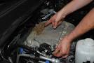 How to stop rats from chewing car 