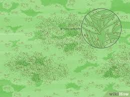 Enviroselects.com offers multiple treatment options to treat a wide spectrum of lawn diseases, including the ones described above. 3 Ways To Treat Lawn Fungus Wikihow