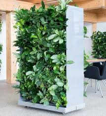 Raumteiler Mit Pflanzen Im Greenbop Online Shop Kaufen Pflanzen Raumteiler Pflanzkubel