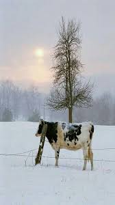 Winter In The Country Met Afbeeldingen Sneeuw Boerderijdieren Schattige Dieren