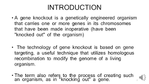 Gene Knockout