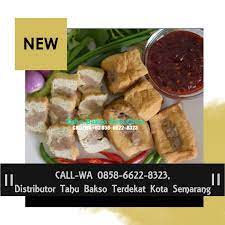 Call Wa 0858 6622 8323 Distributor Tahu Bakso Terdekat Kota Semarang Daging Tahu Cabai Rawit