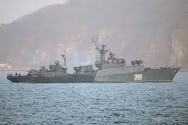 Image result for Gris 1995 Fleet