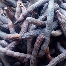 Image result for Xylopia aethiopica