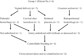 Flow Chart Of Six Patients Who Underwent Emergency Arterial