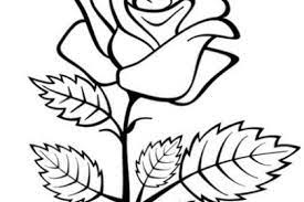 The clip art image is transparent background and png format which can be easily used for any free creative project. 30 Bunga Mawar Line Art Galeri Bunga Hd