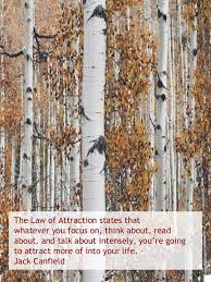 White Birch Trees For Sale Near Me The Universe Quotes Affirmations White Tree Aspen Trees Forest Photos