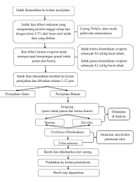 Siapa alat yang digunakan untuk pembenihan ikan hias? Bab 3 Budidaya Pembenihan Ikan Konsumsi