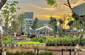 Maybe you would like to learn more about one of these? Bangkok S Best Plant Markets To Create Your Own Green Oasis