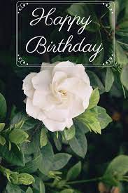 300 Great Happy Birthday Images For Free Download Sharing Pretty Flowers Beautiful Flowers Flowers