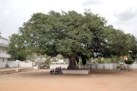 From wikimedia commons, the free media repository. Samarth High School Ramtek Nagpur Reviews Fee Structure Admission Form Address Contact Rating Directory