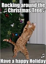 Christmas Cat Christmas Cat Memes Funny Christmas Tree Christmas Cats