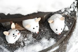 Good tiere malen vorlagen crossradio org 40 best malvorlagen. Wie Man Aus Schnee Susse Tiere Formt Servus