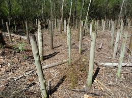 Maybe you would like to learn more about one of these? Protecting Fence Posts From Rot Jlc Online