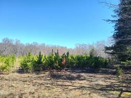 26 Acres Lee Bradsher Rd, Hurdle Mills, NC 27541