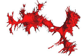 Le temps fait bien les choses. Le Hasard Fait Bien Des Choses Larecherche Fr