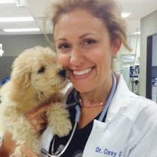 Michigan Online Vet Appointments