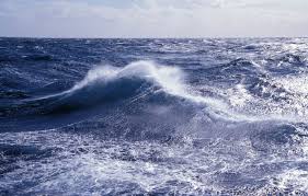 Image result for sea