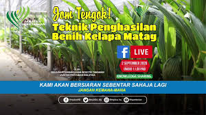 Check 'jabatan' translations into english. Jabatan Pertanian Malaysia Live Facebook