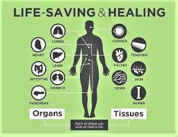 Organ donation is term given to the process in which a person signs an agreement that allows medical professionals to transplant his/her healthy organs family interview: Organ Donation Statistics I Gift Life