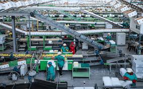Processed Food And Beverage Industries In Sri Lanka In 2020 Food And Beverage Industry Processed Food Beverages