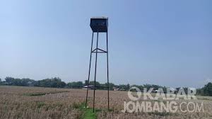 Burung garuda yang juga menjadi lambang dari gambar berikut adalah potret burung yang bertengger di pohon. Rumah Burung Hantu Di Bareng Kurang Efektif Kabar Jombang